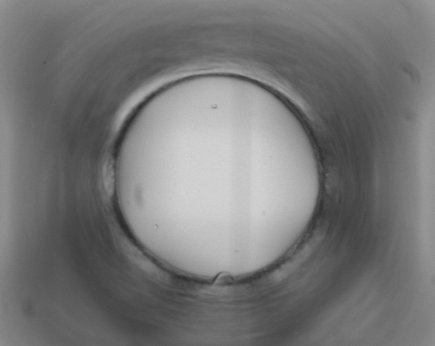 X0000113541510200910161400