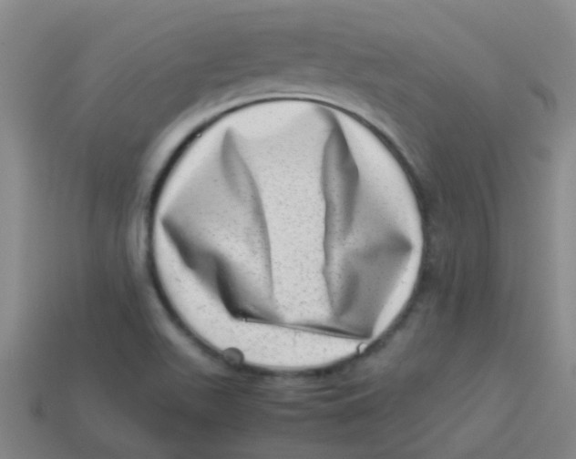 X0000113541511200910161400