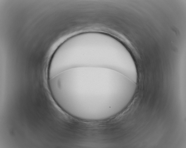 X0000113541512200910161400