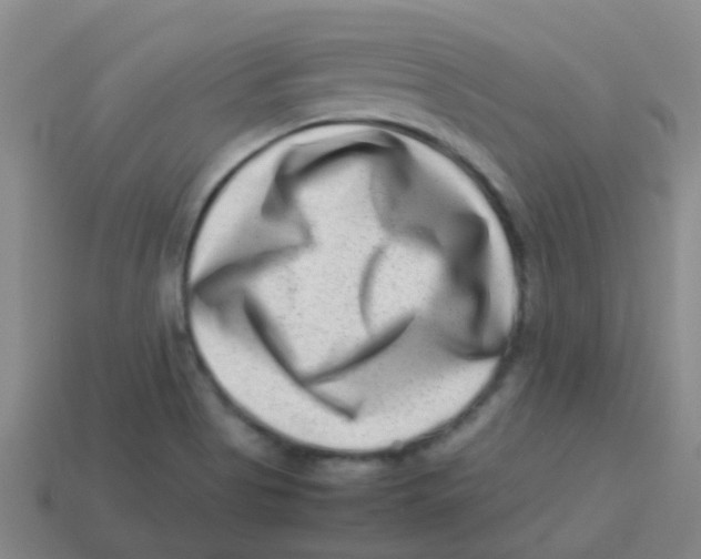X0000113541513200910161400