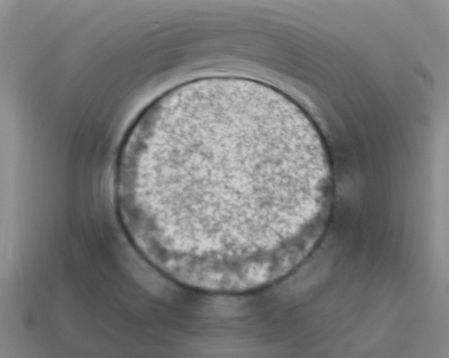 X0000113541514200910161400