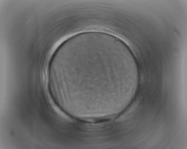 X0000113541515200910161400