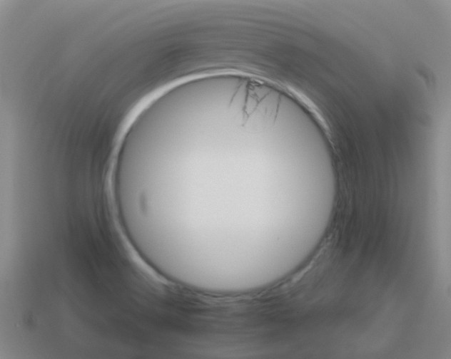 X0000113541516200910161400