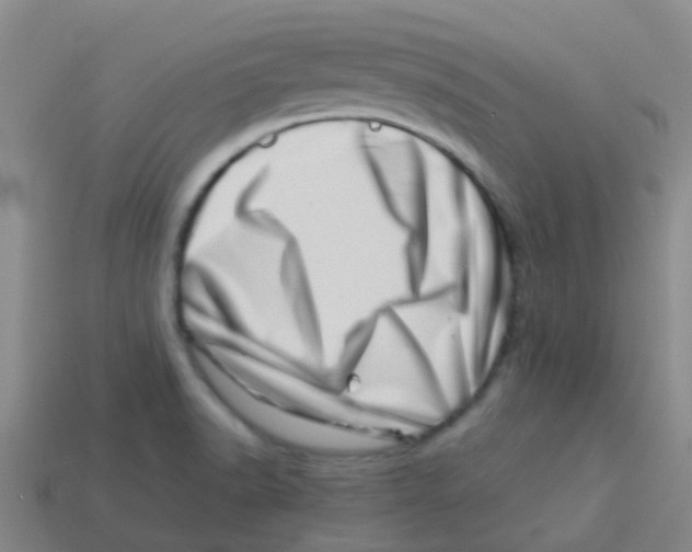 X0000113541518200910161400
