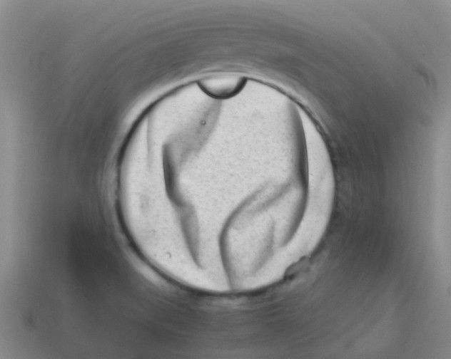 X0000113541519200910161400