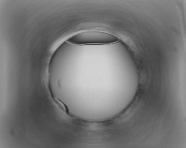 X0000113541520200910161400