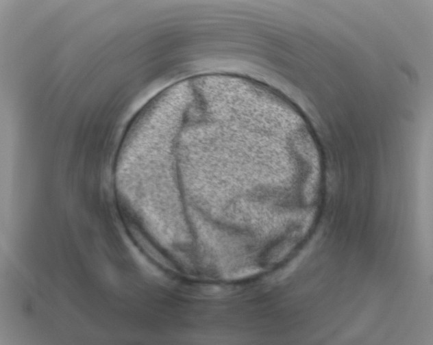 X0000113541521200910161400