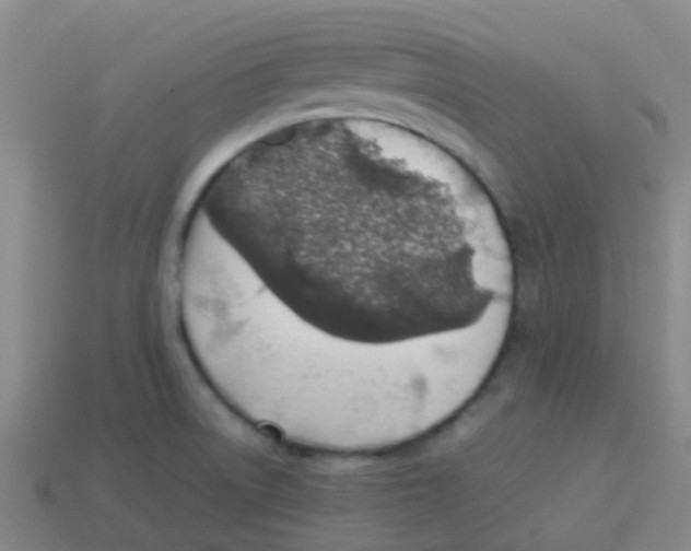 X0000113541522200910161400