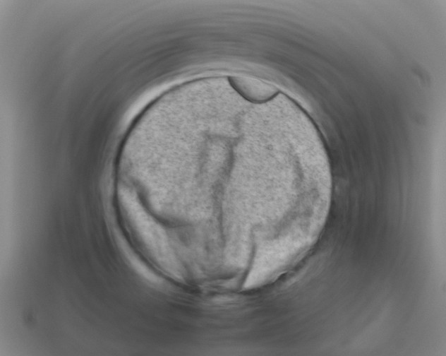 X0000113541523200910161400
