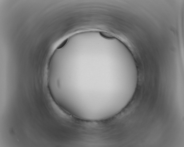 X0000113541524200910161400