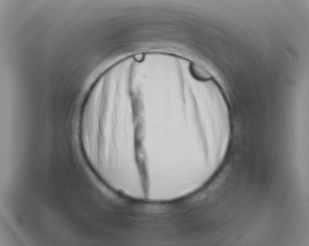 X0000113541525200910161400