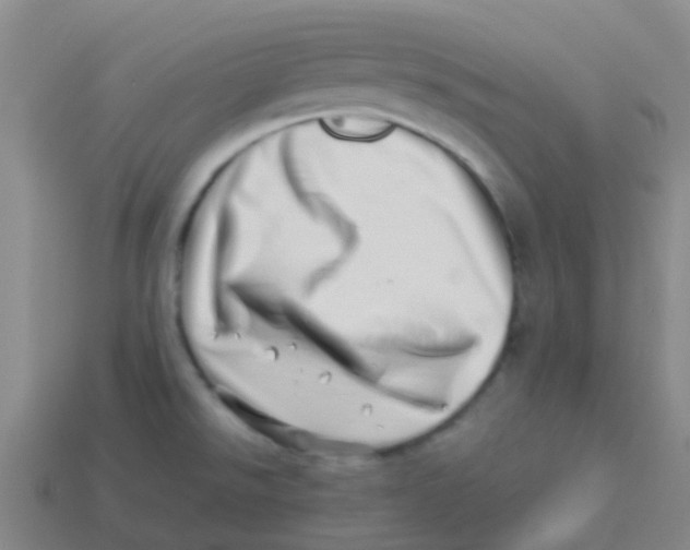 X0000113541526200910161400
