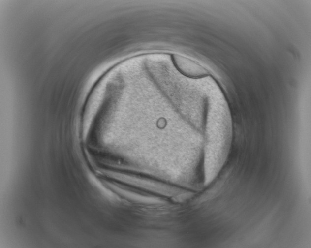 X0000113541527200910161400
