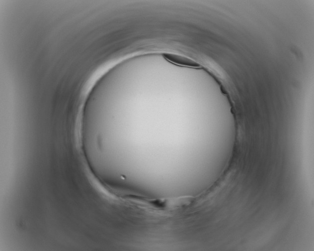 X0000113541528200910161400