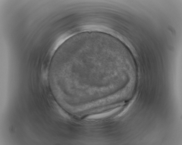 X0000113541529200910161400