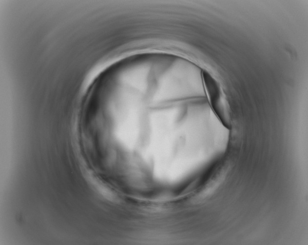 X0000113541530200910161400
