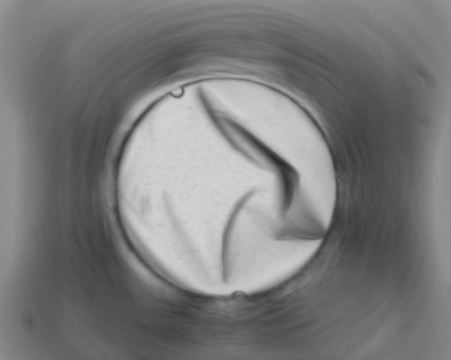 X0000113541531200910161400
