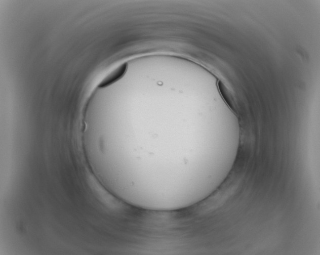 X0000113541532200910161400