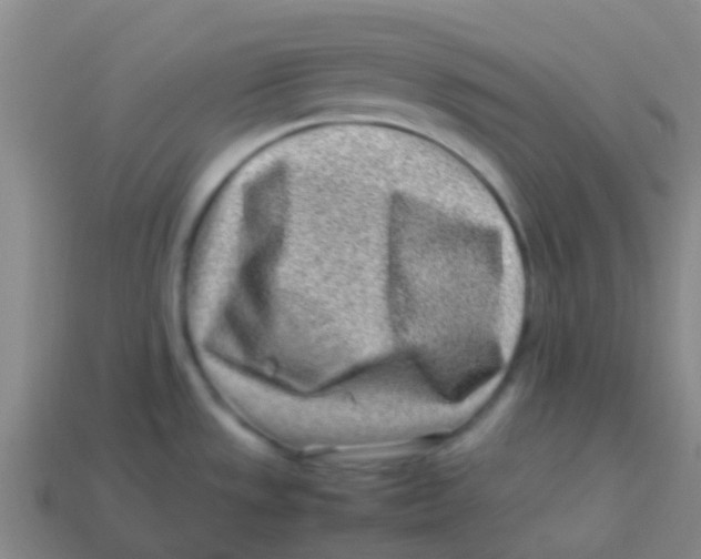 X0000113541533200910161400