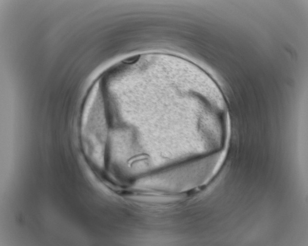 X0000113541534200910161400