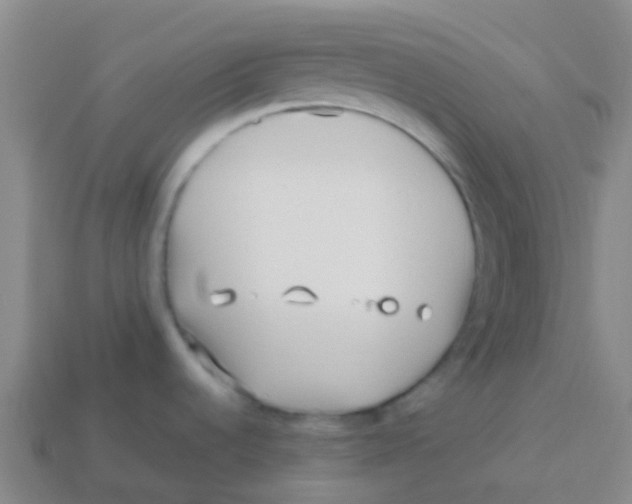 X0000113541536200910161400
