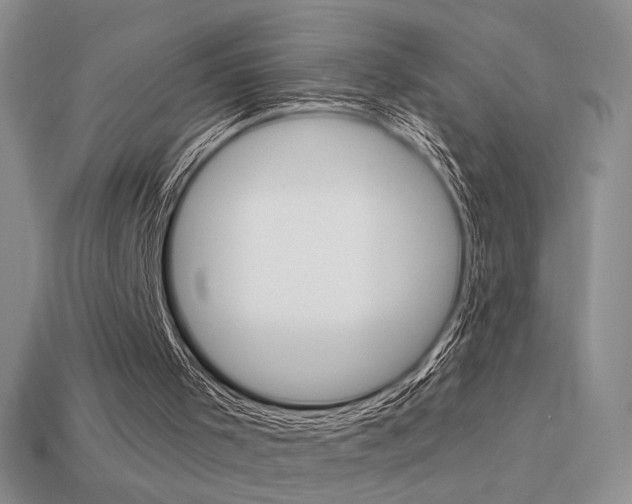 X0000113550001200909181009