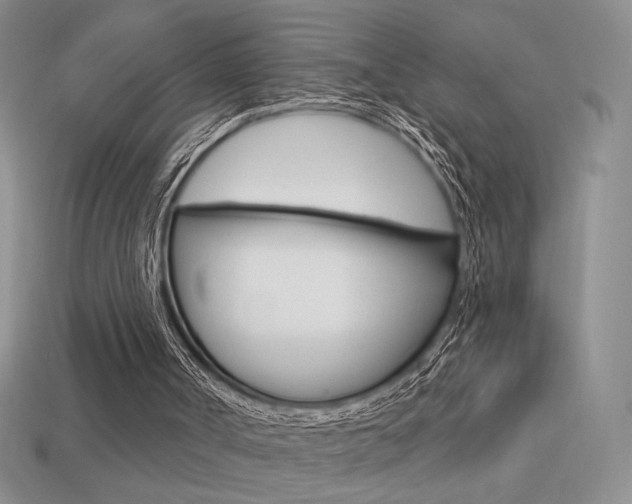 X0000113550002200909181009