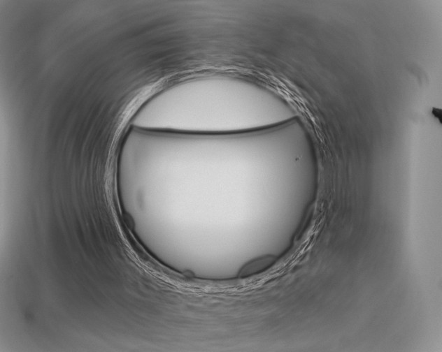 X0000113550003200909181009
