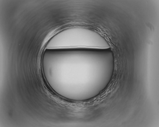 X0000113550004200909181009