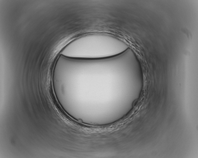 X0000113550005200909181009