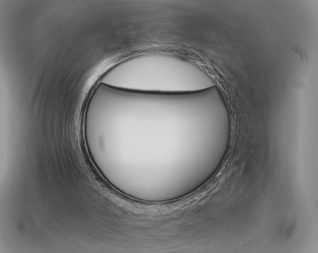 X0000113550006200909181009