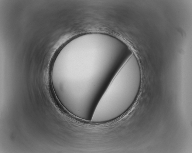 X0000113550008200909181009