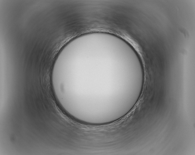 X0000113550009200909181009