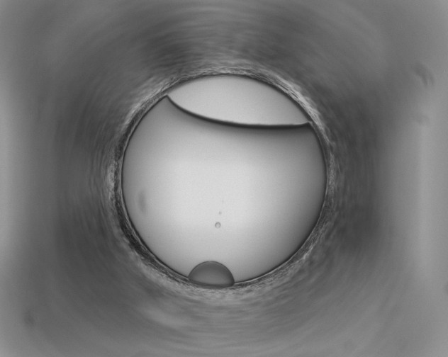 X0000113550010200909181009