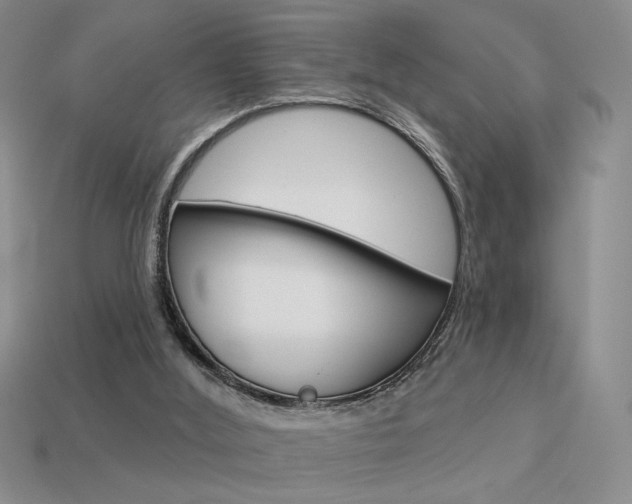 X0000113550012200909181009