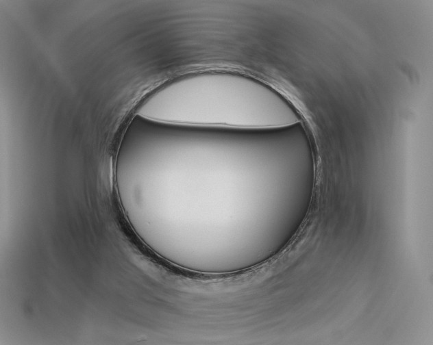 X0000113550013200909181009