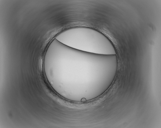 X0000113550014200909181009