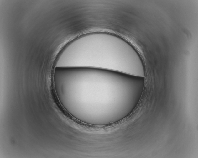 X0000113550015200909181009