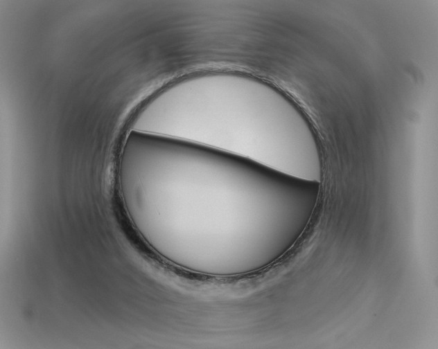 X0000113550016200909181009