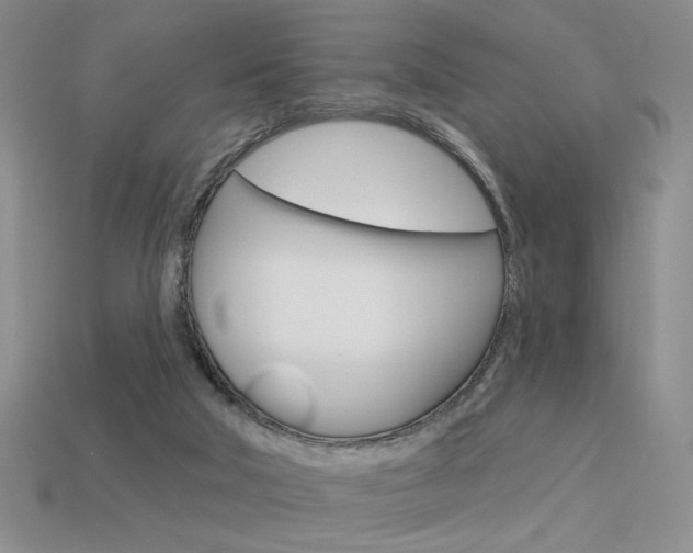 X0000113550018200909181009