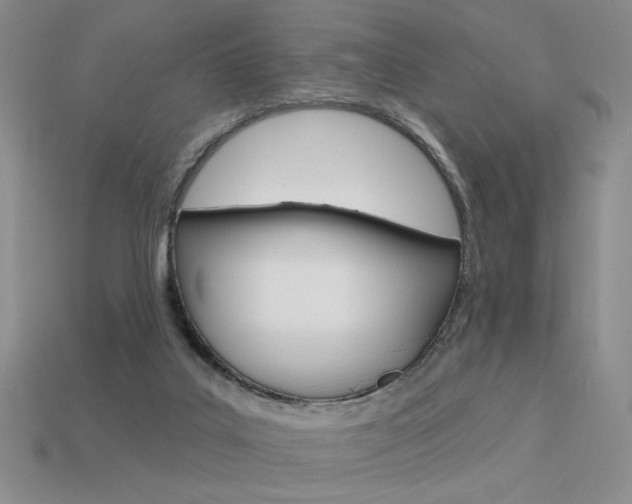 X0000113550019200909181009