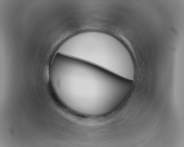 X0000113550020200909181009