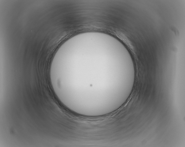 X0000113550021200909181009