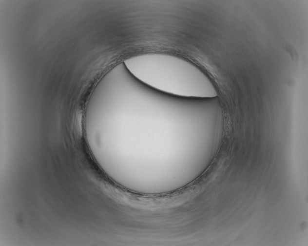 X0000113550022200909181009