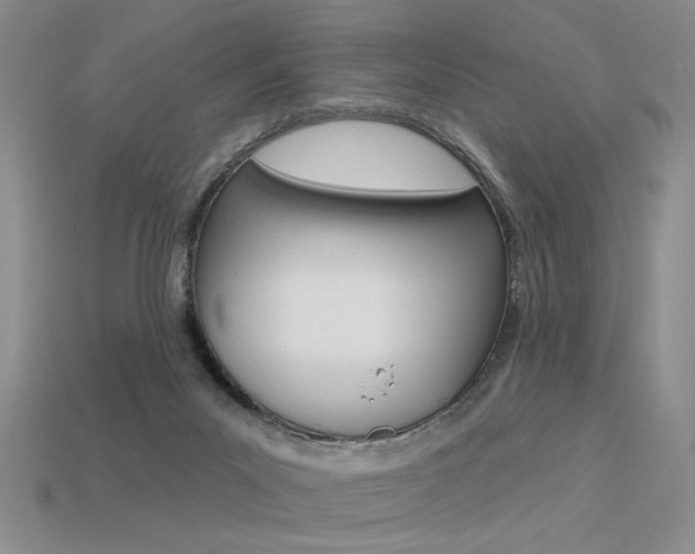 X0000113550023200909181009
