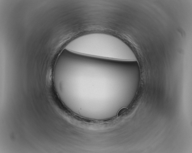 X0000113550024200909181009