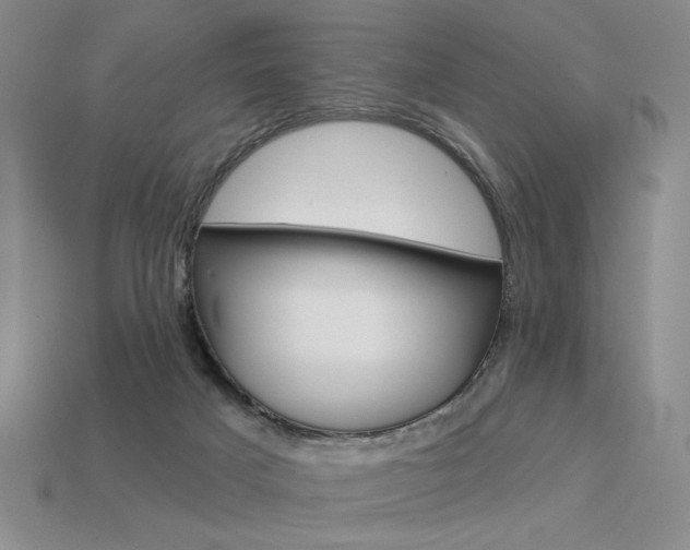 X0000113550025200909181009