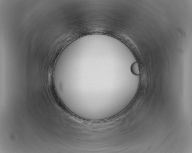X0000113550026200909181009