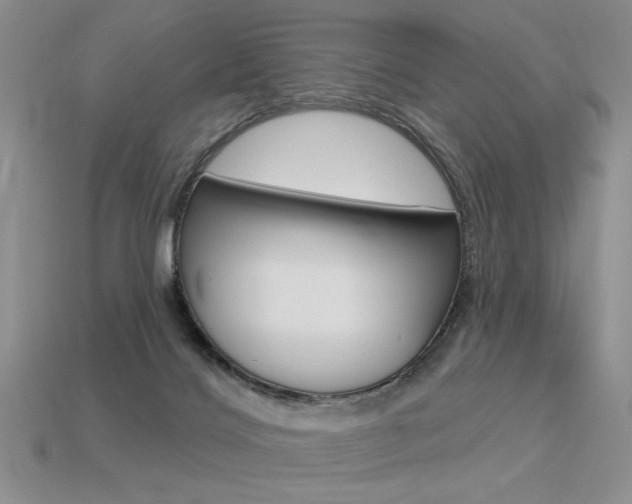 X0000113550028200909181009