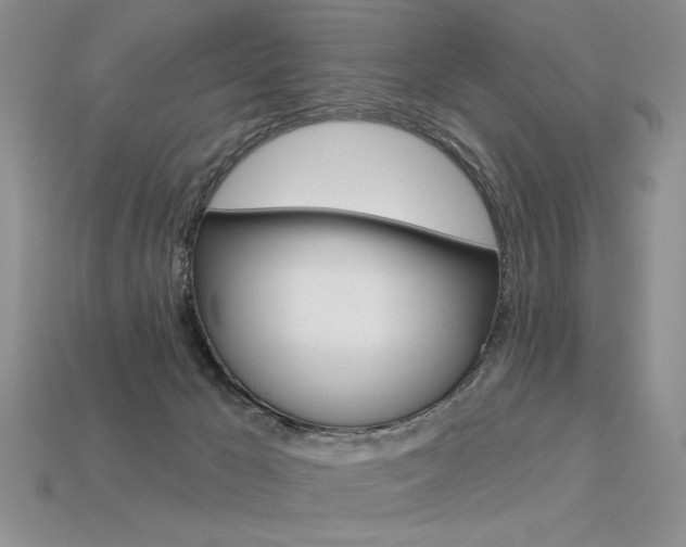 X0000113550029200909181009